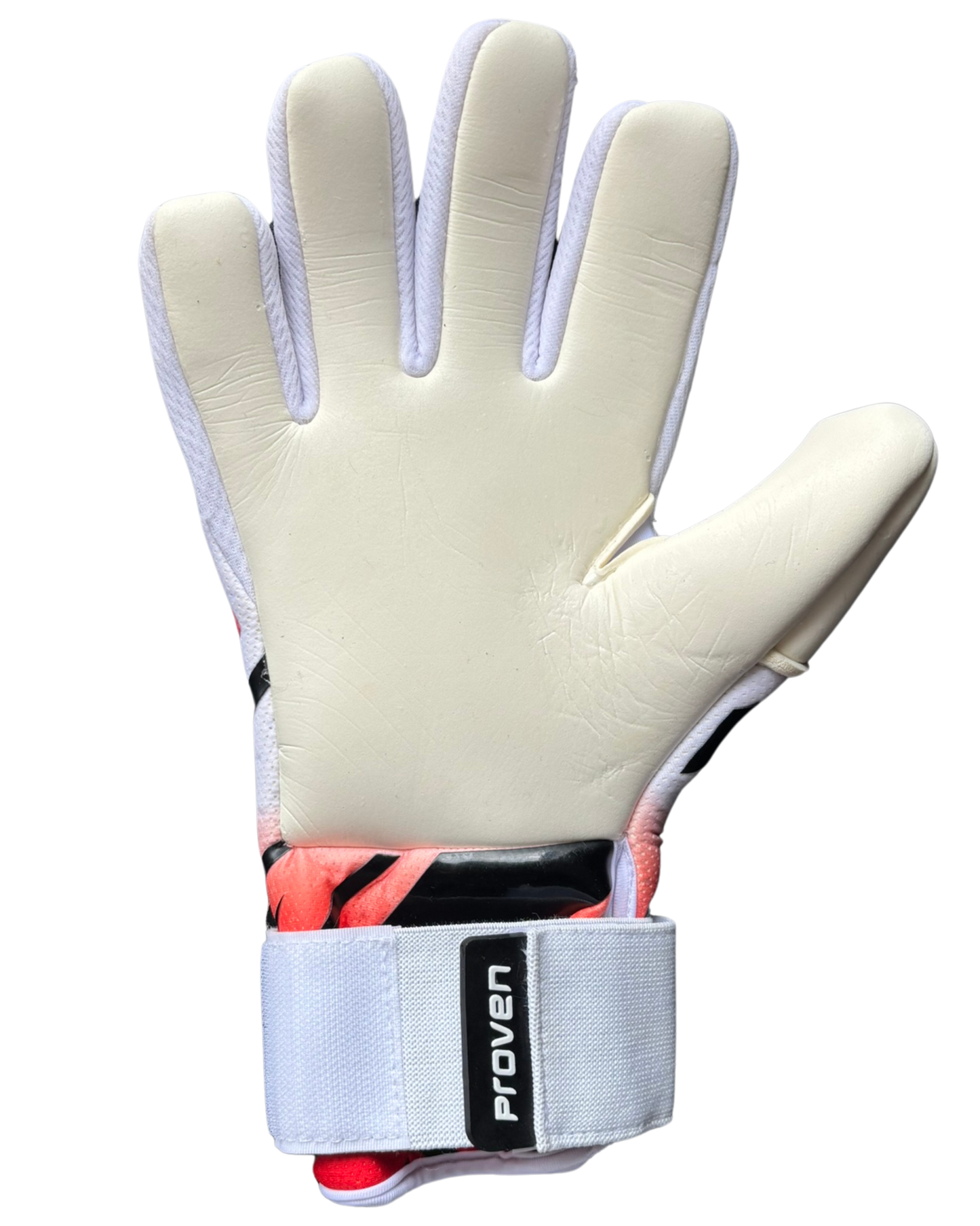 APEX Glove